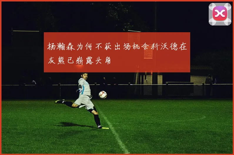 杨瀚森为何不获出场机会科沃德在灰熊已崭露头角