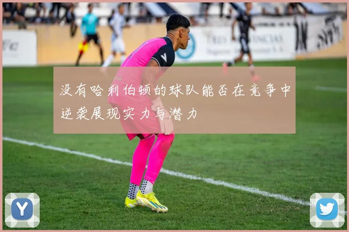 没有哈利伯顿的球队能否在竞争中逆袭展现实力与潜力