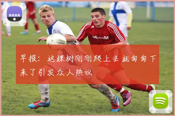 早报：这棵树刚刚爬上去就匆匆下来了引发众人热议